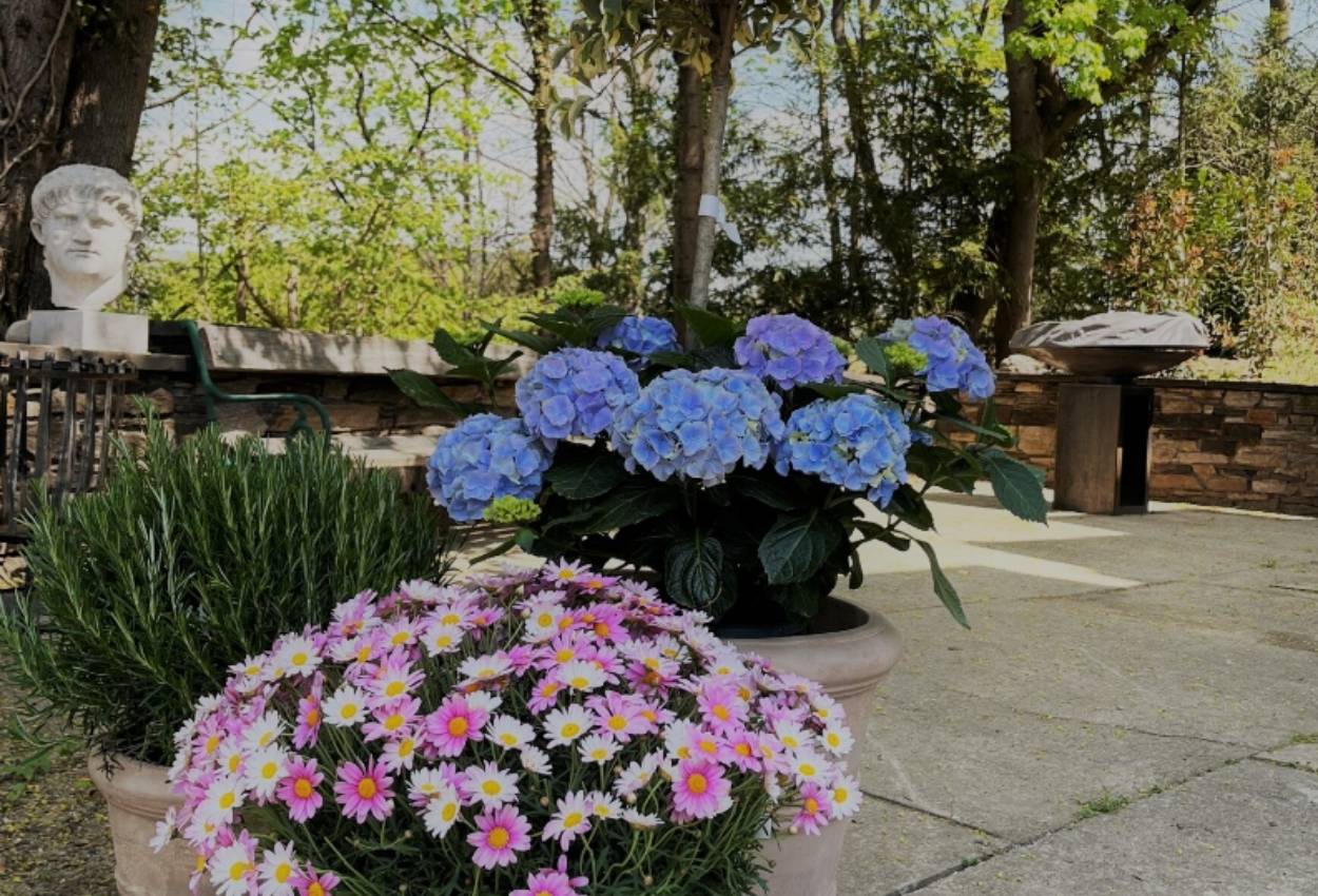 Palais St. Georg Catering Andritz Bild 12