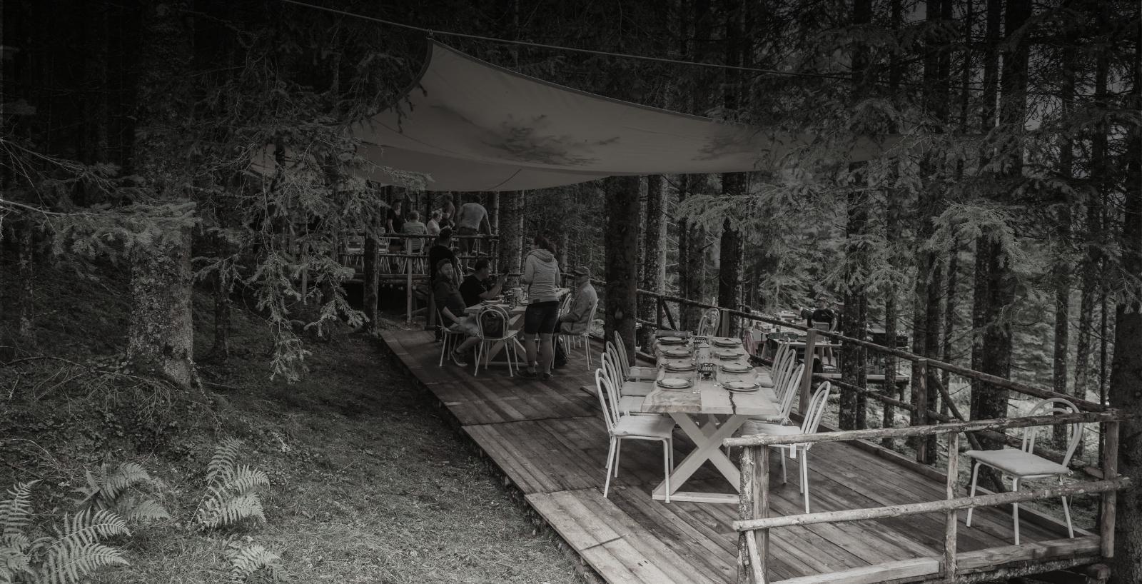 Wirtshaus Im Wald Titelbild